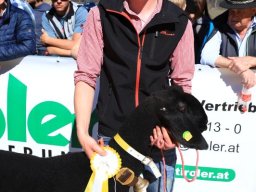 2019_ausstellung polling_330